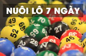 Chiến Thuật Nuôi Khung Lô 7 Ngày Hiệu Quả Tại Go88