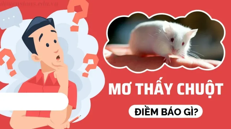 Nằm Mơ Thấy Chuột Là Điềm Gì? Luận Giải Ý Nghĩa Và Con Số May Mắn Từ Go88