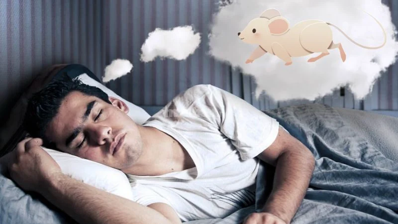 Nằm Mơ Thấy Chuột Là Điềm Gì? Luận Giải Ý Nghĩa Và Con Số May Mắn Từ Go88