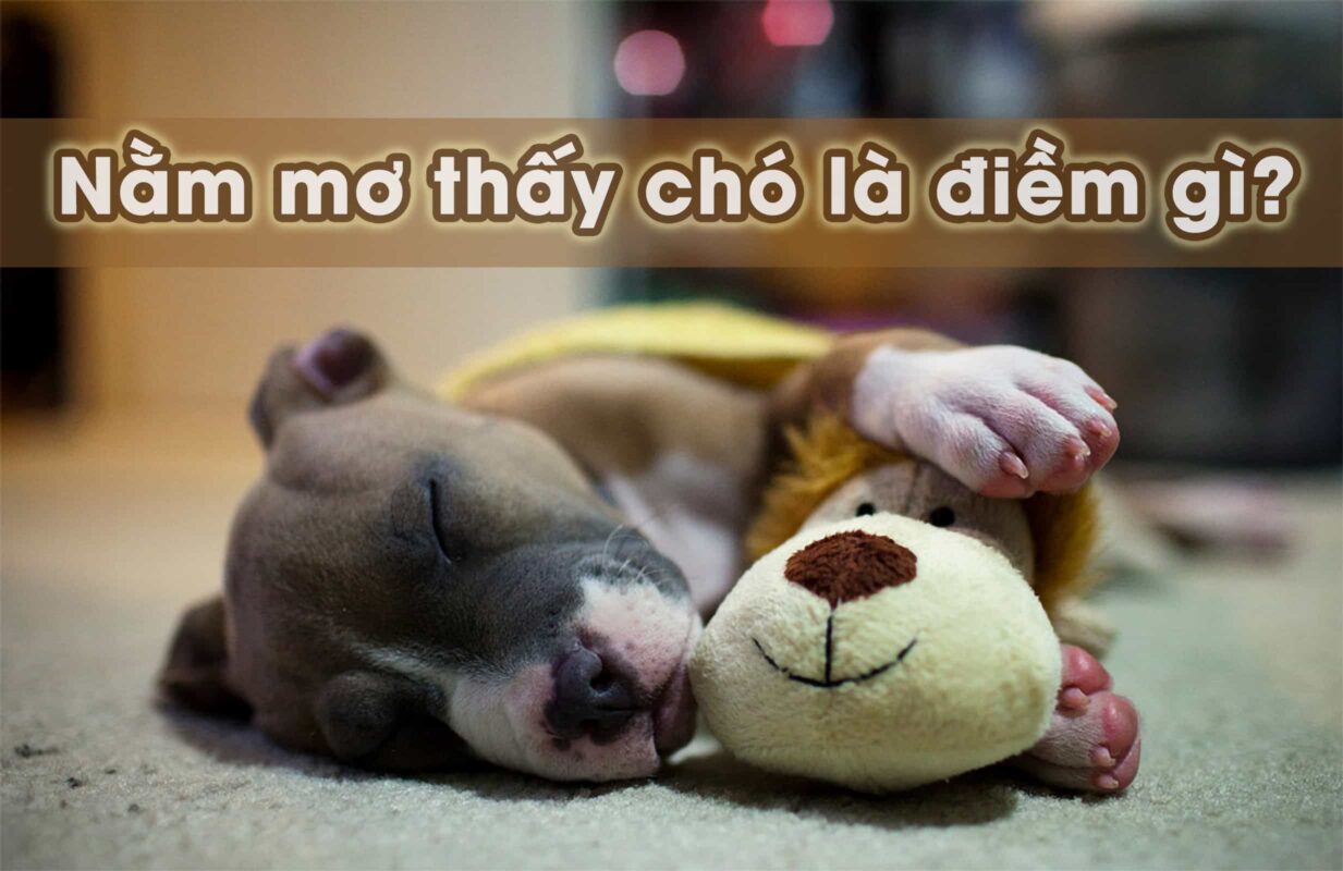 Mơ Thấy Chó Đánh Con Gì Để Trúng Lớn? Cùng Go88 Giải Mã Chi Tiết
