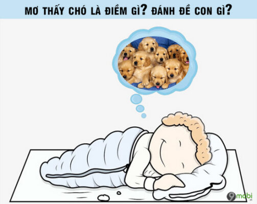 Mơ Thấy Chó Đánh Con Gì Để Trúng Lớn? Cùng Go88 Giải Mã Chi Tiết