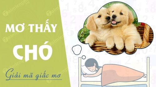 Mơ Thấy Chó Đánh Con Gì Để Trúng Lớn? Cùng Go88 Giải Mã Chi Tiết